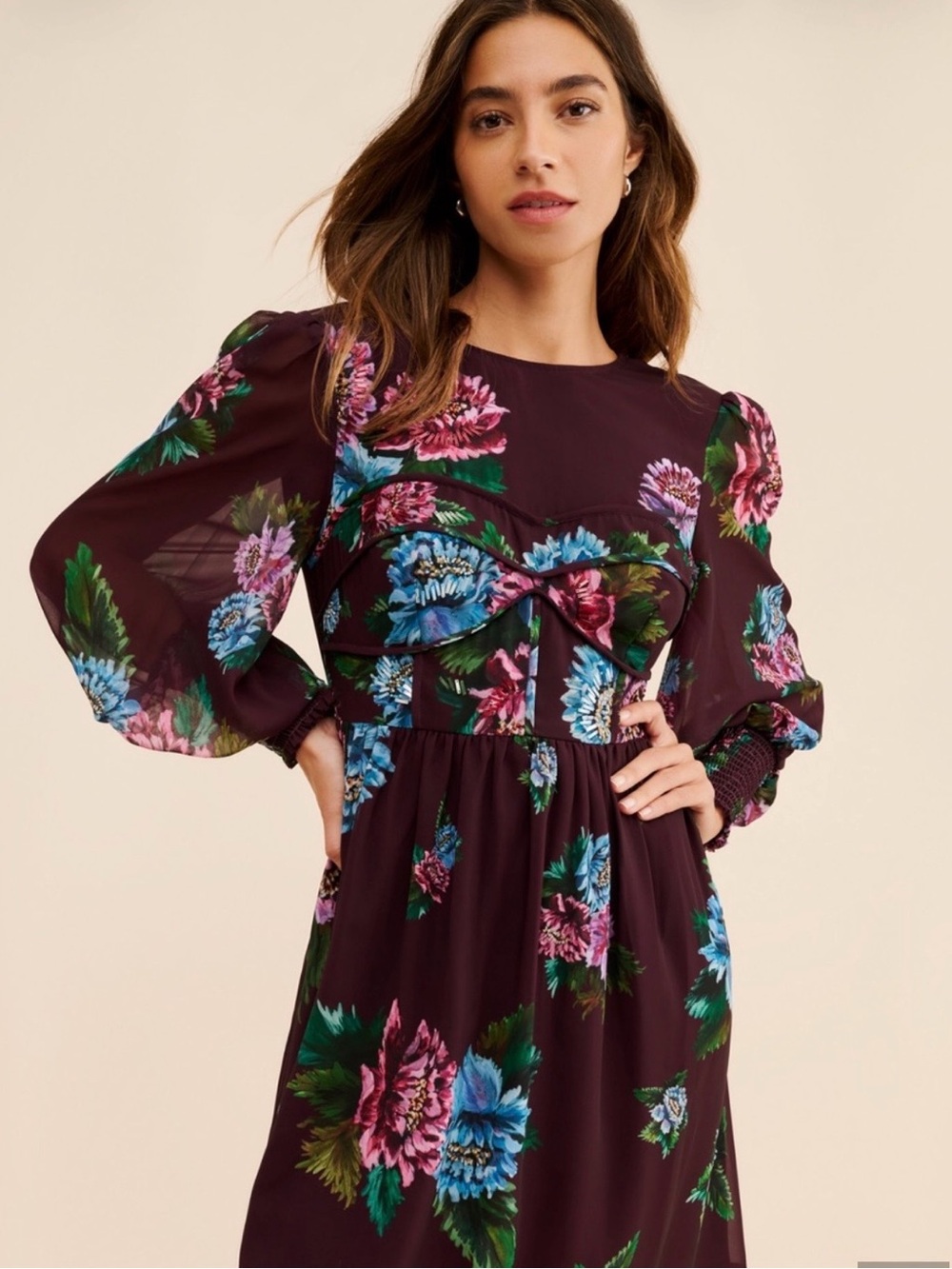 Anthropologie Vineet Bahl Floral Embroidered Long Puff-Sleeve Mini Dress in Plum